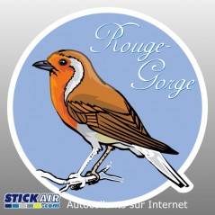 Oiseau rouge gorge