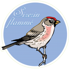 Oiseau suzerin