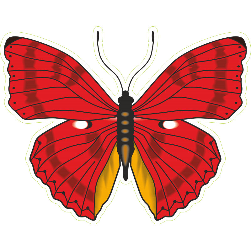 Papillon rouge