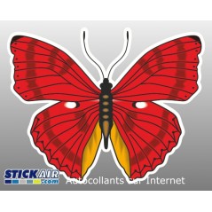 Papillon rouge