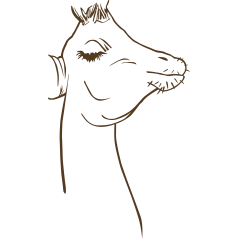Girafe