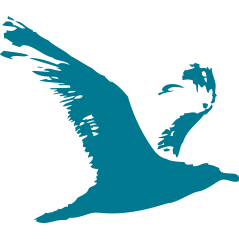 Mouette