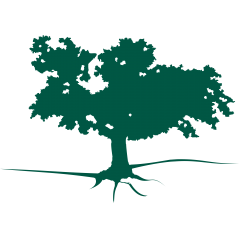 Arbre
