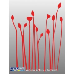 Vegetal 2