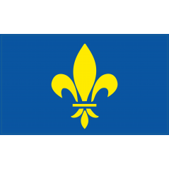 Drapeau France Royale