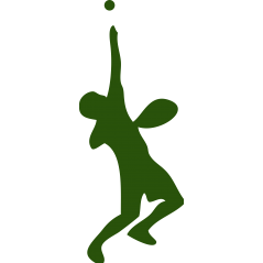 Tennisman