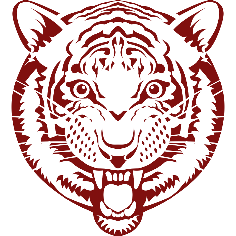 Tête tigre
