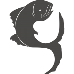 Poisson