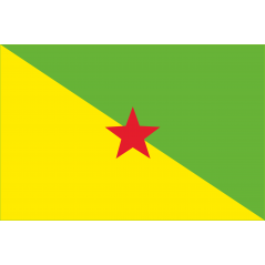 Drapeau Guyane