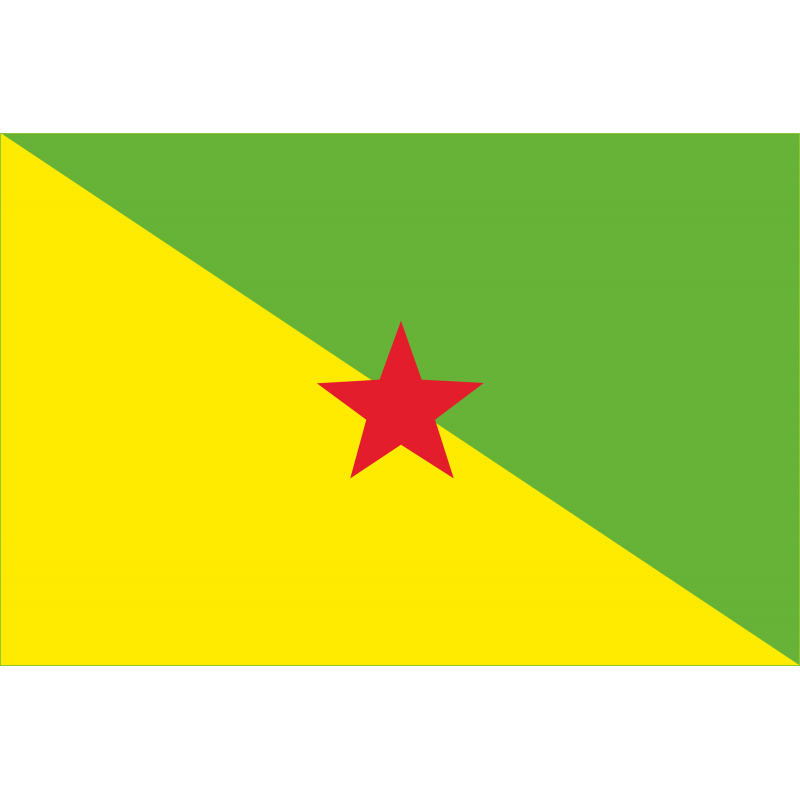 Drapeau Guyane