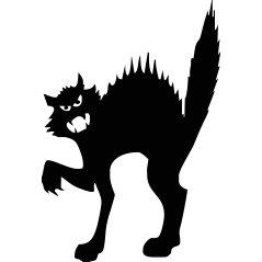 Chat colère