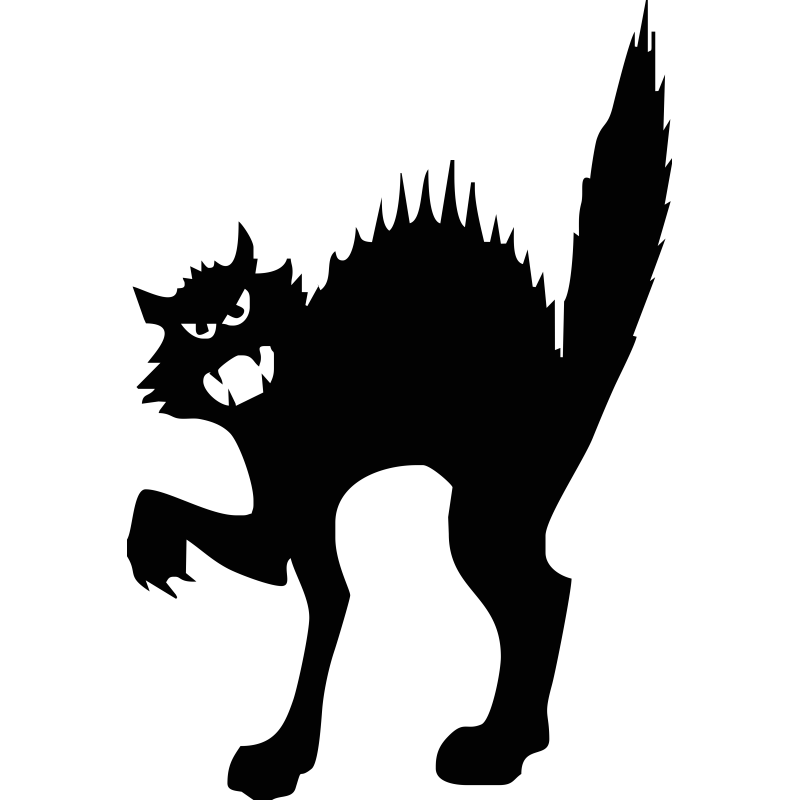 Chat colère