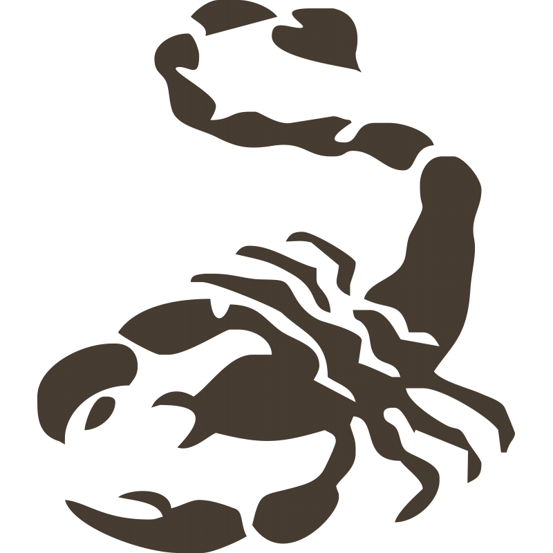 Scorpion