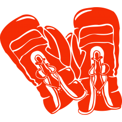 Gants de Boxe