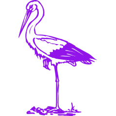 Cigogne