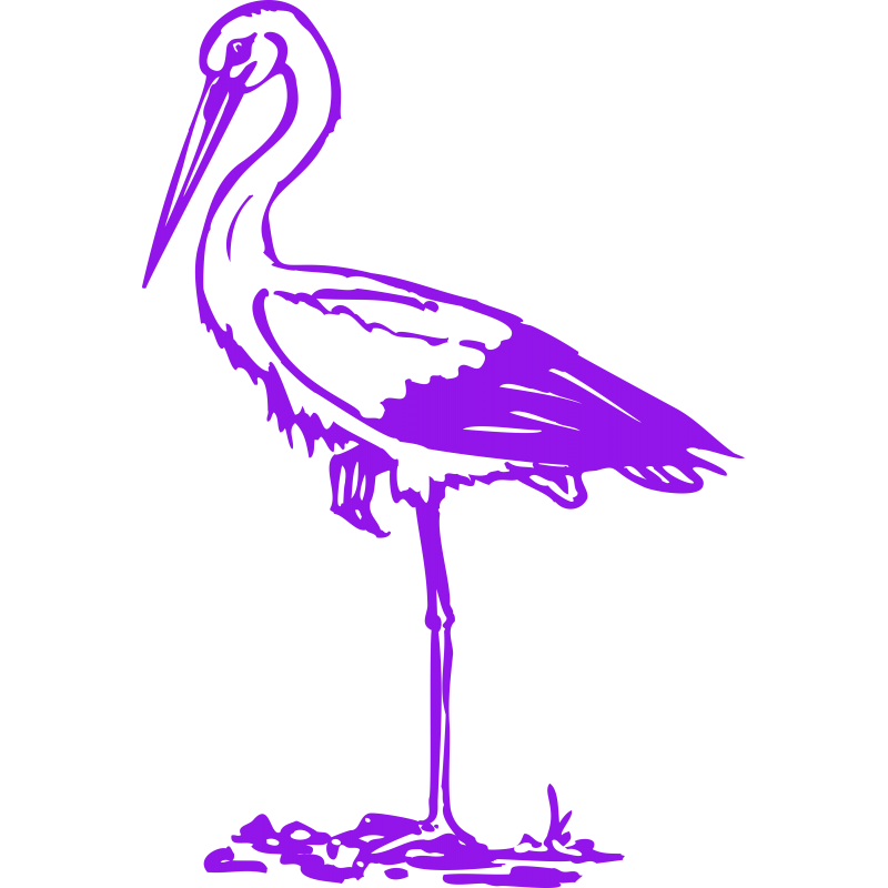 Cigogne