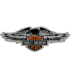 Harley Davidson Eagle