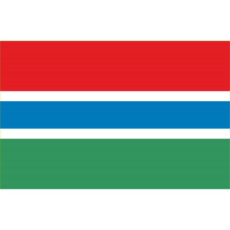 Drapeau Gambi