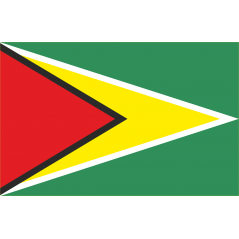 Drapeau Guyana