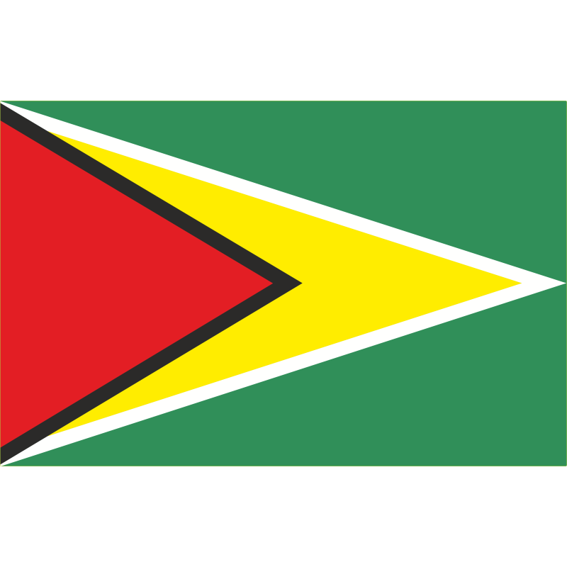 Drapeau Guyana