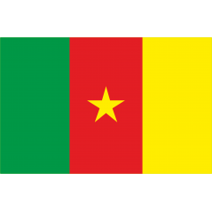 Drapeau Cameroun