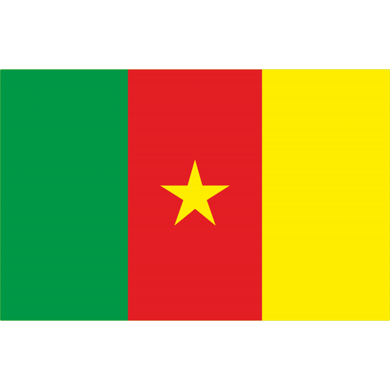 Drapeau Cameroun