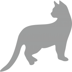 Chat 10