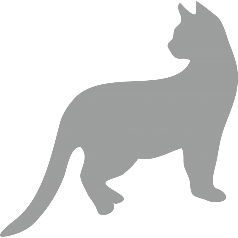 Chat 10