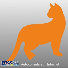 Chat 10