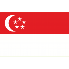 Drapeau Singapour