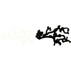 Tribal Nuit