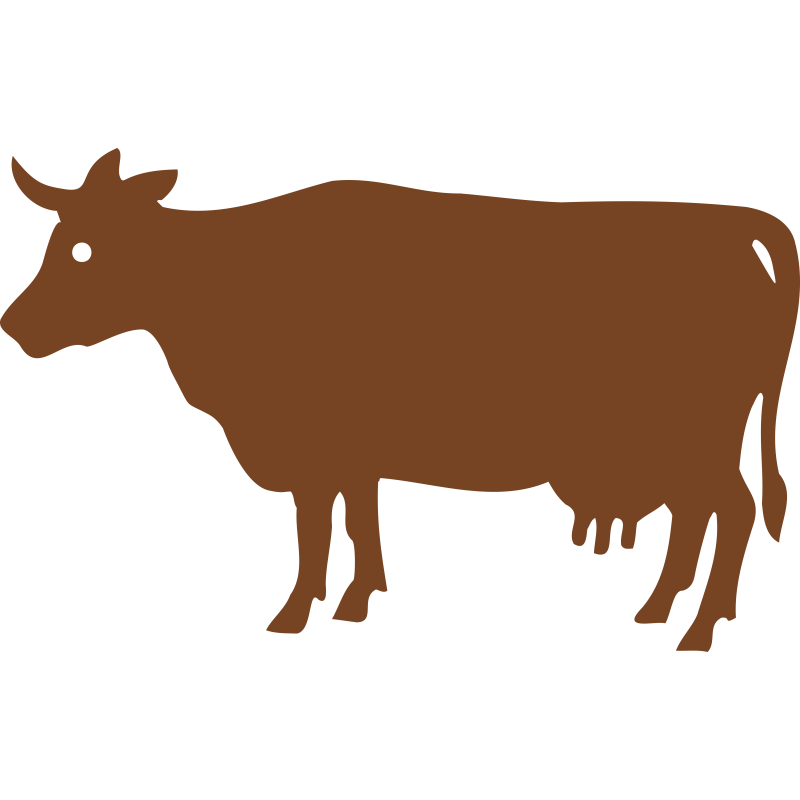 Vache