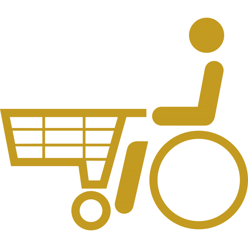 Chariot adapté aux handicapés