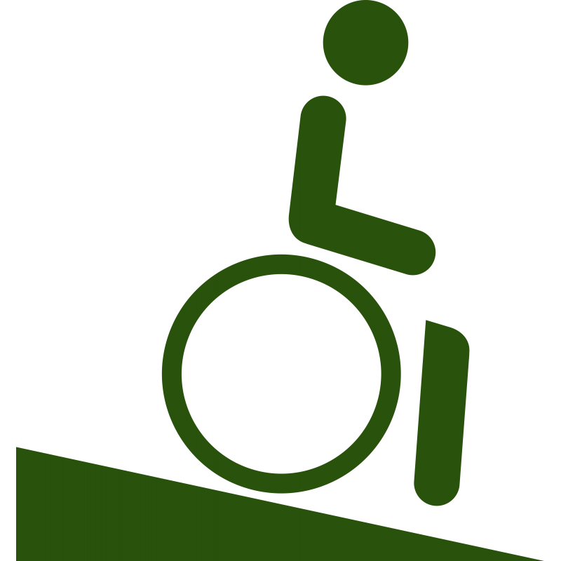 Rampe descendante pour handicapé