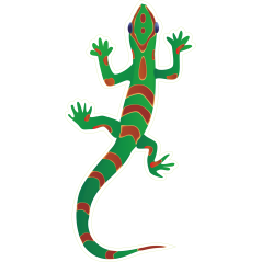 Gecko