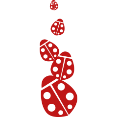 Coccinelles