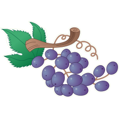 Grappe raisin