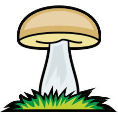 Champignon