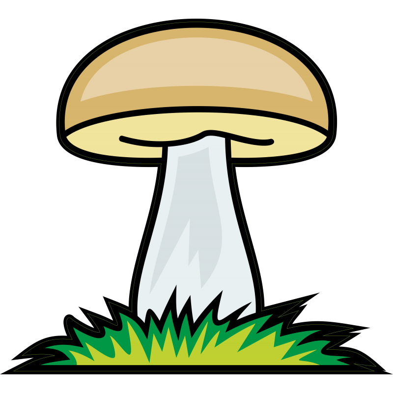 Champignon