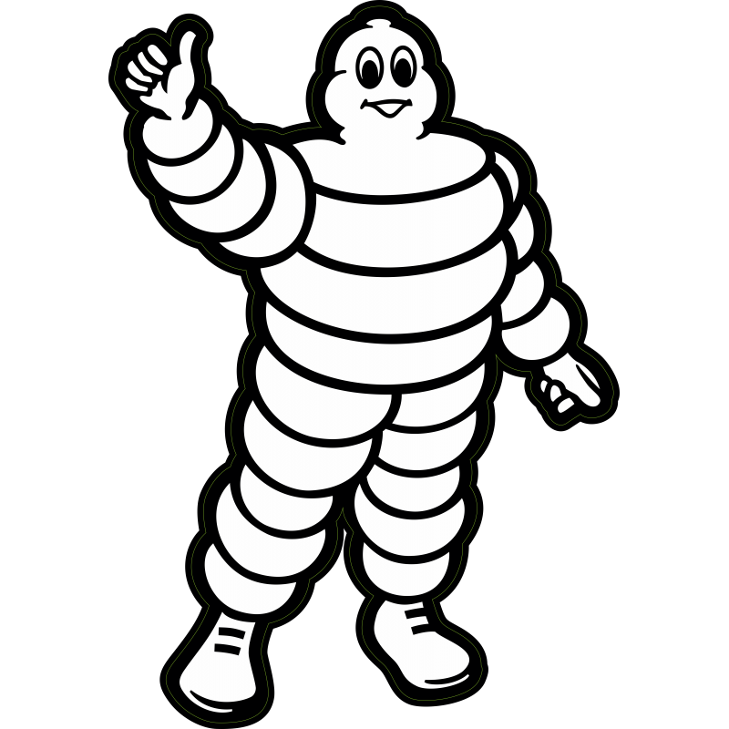 Michelin 15