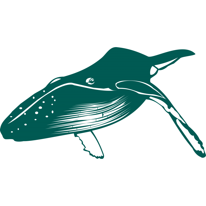 Baleine