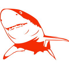 Requin