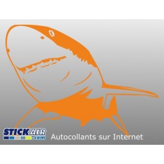 Requin