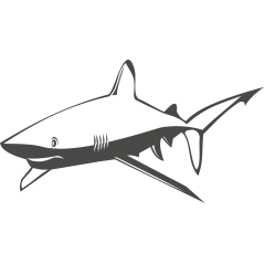 Requin