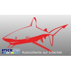 Requin