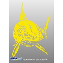 Requin