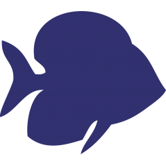 Poisson
