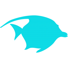 Poisson
