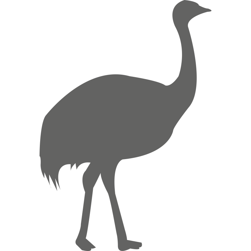 Autruche
