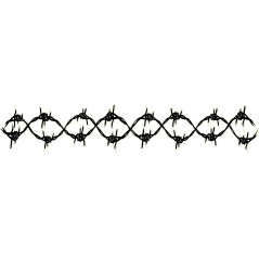 Barbele